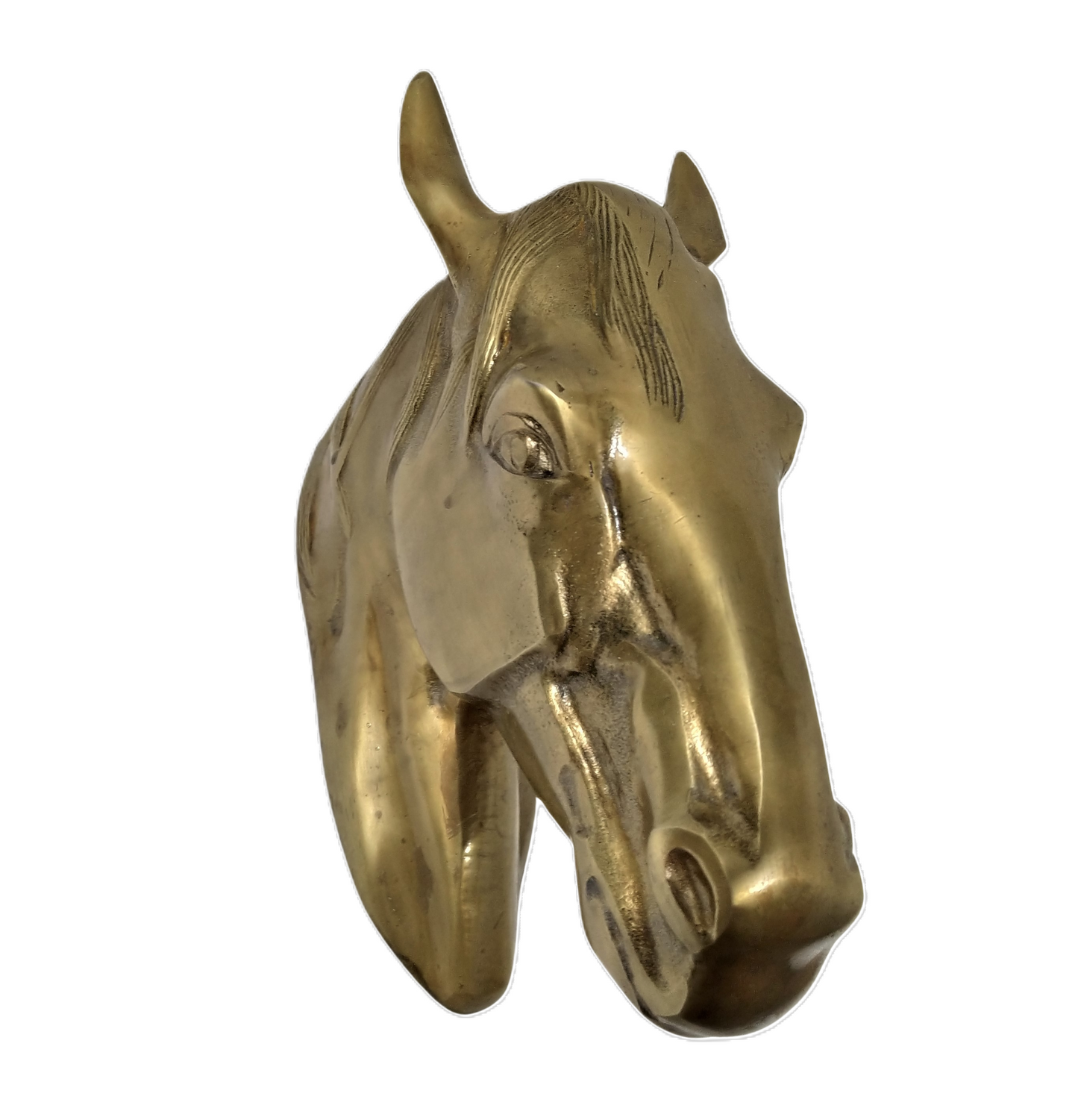 Majestic Horse Head Wall Hanging Sculpture – In 3 Premium Finishes | Regal Equestrian Wall Art