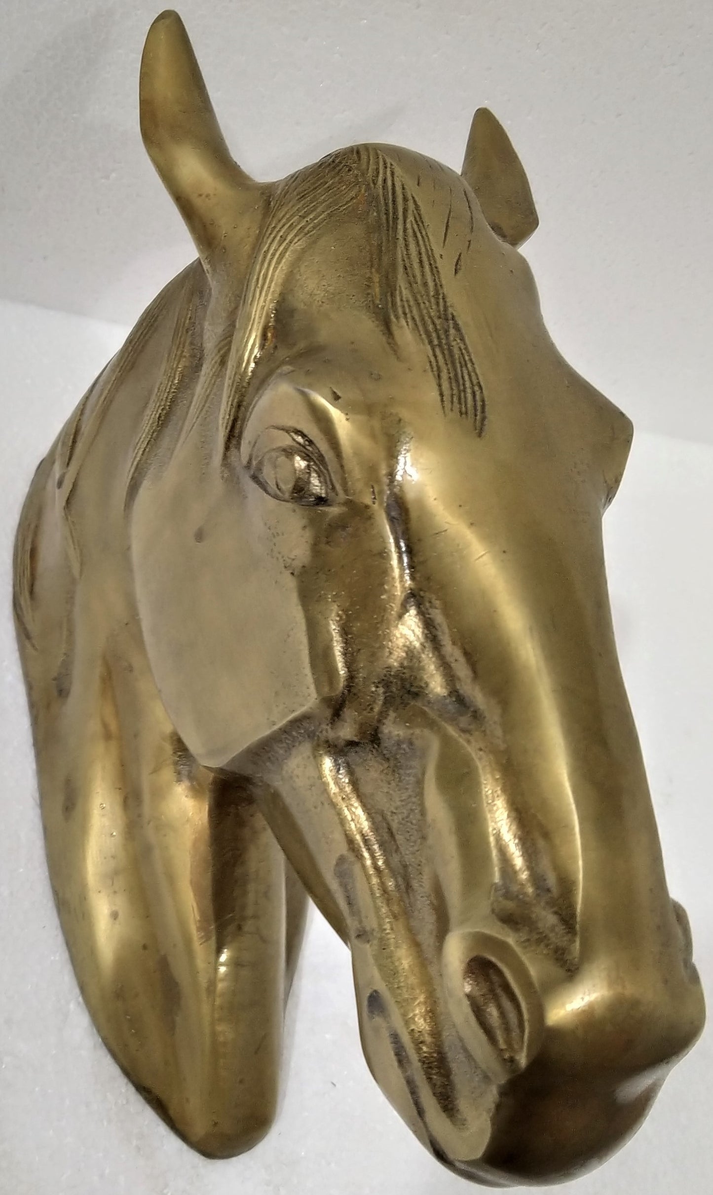 Majestic Horse Head Wall Hanging Sculpture – In 3 Premium Finishes | Regal Equestrian Wall Art