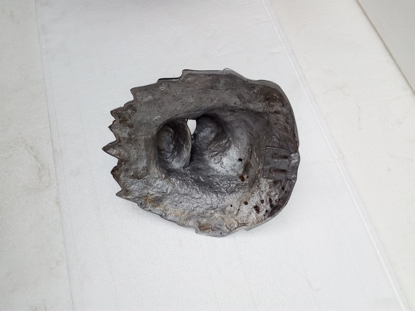 Fierce Aluminum Lion Head Wall Hanging Sculpture – Bronze, Brass & Chrome Finishes | Regal Animal Wall Art for Bold Interiors